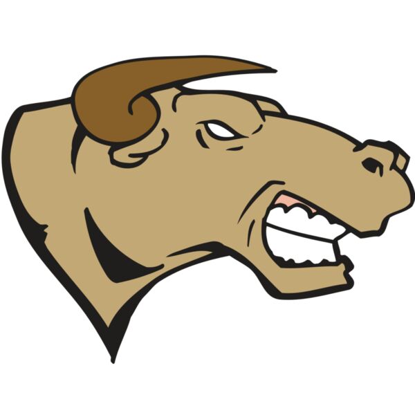 AR BULL 30 RC Thumbnail