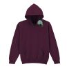 Trade youth hooded sweatshirt Thumbnail
