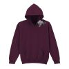 Trade youth hooded sweatshirt Thumbnail