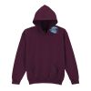 Trade youth hooded sweatshirt Thumbnail