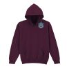 Trade youth hooded sweatshirt Thumbnail