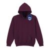Trade youth hooded sweatshirt Thumbnail