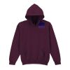 Trade youth hooded sweatshirt Thumbnail