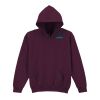 Trade youth hooded sweatshirt Thumbnail