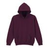 Trade youth hooded sweatshirt Thumbnail