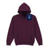 Trade youth hooded sweatshirt Thumbnail