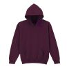 Trade youth hooded sweatshirt Thumbnail