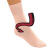 Ballet & Dance Socks Thumbnail
