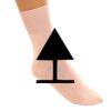 Ballet & Dance Socks Thumbnail