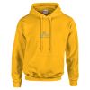 Academy Child's hooded sweatshirt Thumbnail