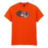 50x Printed Cotton™ adult t-shirts Thumbnail