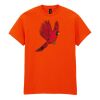 50x Printed Cotton™ adult t-shirts Thumbnail