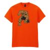 50x Printed Cotton™ adult t-shirts Thumbnail