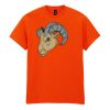 50x Printed Cotton™ adult t-shirts Thumbnail