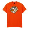 50x Printed Cotton™ adult t-shirts Thumbnail