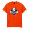 50x Printed Cotton™ adult t-shirts Thumbnail