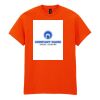 50x Printed Cotton™ adult t-shirts Thumbnail