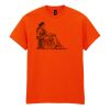 50x Printed Cotton™ adult t-shirts Thumbnail