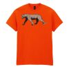 20x Printed Cotton™ adult t-shirts Thumbnail