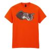 20x Printed Cotton™ adult t-shirts Thumbnail