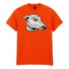 20x Printed Cotton™ adult t-shirts Thumbnail