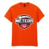 20x Printed Cotton™ adult t-shirts Thumbnail