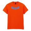 20x Printed Cotton™ adult t-shirts Thumbnail