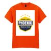 20x Printed Cotton™ adult t-shirts Thumbnail