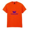 20x Printed Cotton™ adult t-shirts Thumbnail