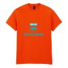 20x Printed Cotton™ adult t-shirts Thumbnail