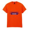 20x Printed Cotton™ adult t-shirts Thumbnail