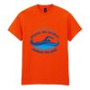 20x Printed Cotton™ adult t-shirts Thumbnail