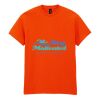 20x Printed Cotton™ adult t-shirts Thumbnail