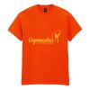 20x Printed Cotton™ adult t-shirts Thumbnail