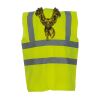 OFFER High-Vis Vests x10  Thumbnail