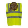 OFFER High-Vis Vests x10  Thumbnail