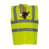 OFFER High-Vis Vests x10  Thumbnail