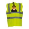OFFER High-Vis Vests x10  Thumbnail