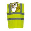 OFFER High-Vis Vests x10  Thumbnail