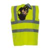 OFFER High-Vis Vests x10  Thumbnail