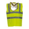 OFFER High-Vis Vests x10  Thumbnail