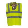 OFFER High-Vis Vests x10  Thumbnail