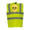 OFFER High-Vis Vests x10  Thumbnail