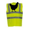 OFFER High-Vis Vests x10  Thumbnail