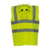 OFFER High-Vis Vests x10  Thumbnail