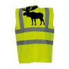 OFFER High-Vis Vests x10  Thumbnail