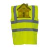 OFFER High-Vis Vests x10  Thumbnail