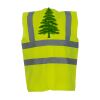 OFFER High-Vis Vests x10  Thumbnail